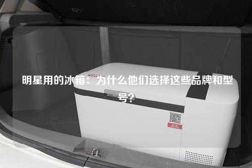  明星用的冰箱：为什么他们选择这些品牌和型号？