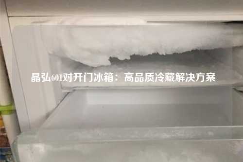  晶弘601对开门冰箱：高品质冷藏解决方案
