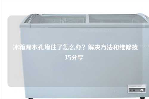  冰箱漏水孔堵住了怎么办？解决方法和维修技巧分享