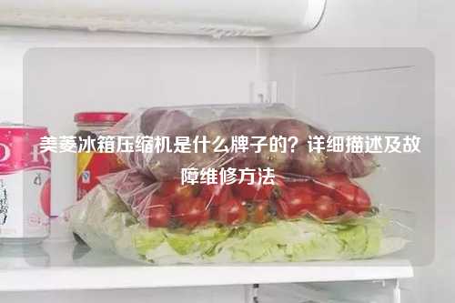  美菱冰箱压缩机是什么牌子的？详细描述及故障维修方法