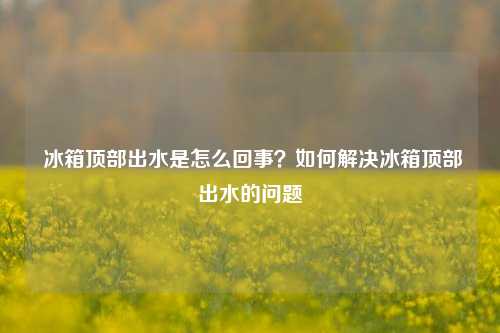  冰箱顶部出水是怎么回事？如何解决冰箱顶部出水的问题