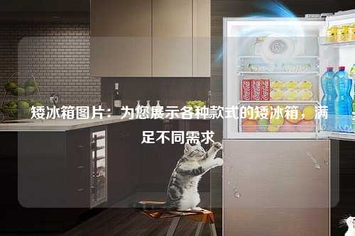  矮冰箱图片：为您展示各种款式的矮冰箱，满足不同需求