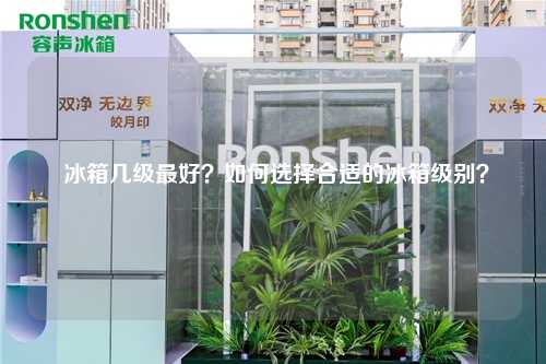  冰箱几级最好？如何选择合适的冰箱级别？
