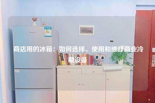  商店用的冰箱：如何选择、使用和维修商业冷藏设备