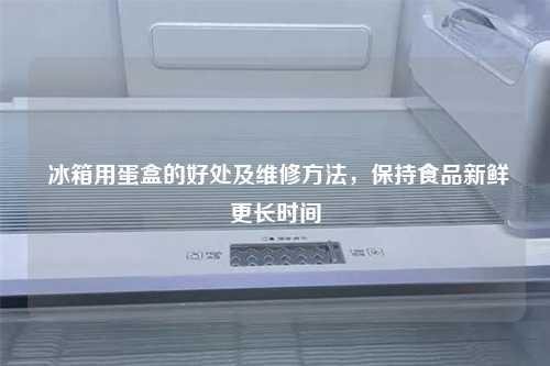  冰箱用蛋盒的好处及维修方法，保持食品新鲜更长时间