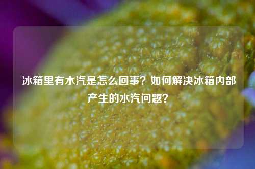  冰箱里有水汽是怎么回事？如何解决冰箱内部产生的水汽问题？