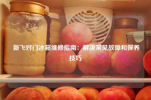  新飞对门冰箱维修指南：解决常见故障和保养技巧