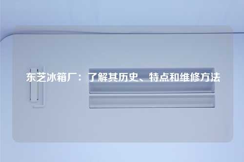  东芝冰箱厂：了解其历史、特点和维修方法