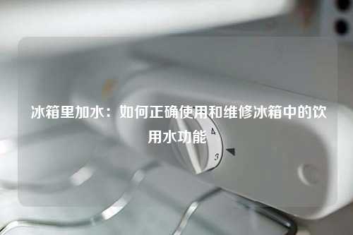 冰箱里加水：如何正确使用和维修冰箱中的饮用水功能
