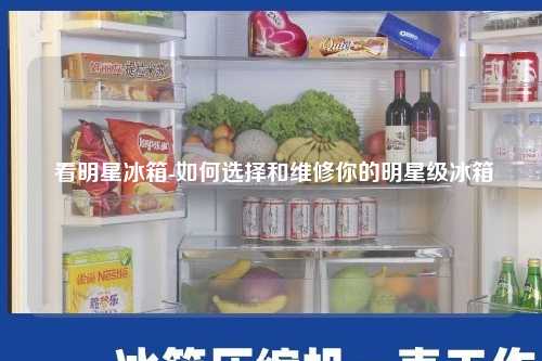  看明星冰箱-如何选择和维修你的明星级冰箱