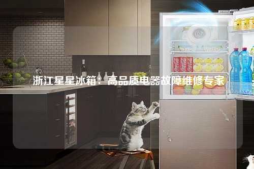  浙江星星冰箱：高品质电器故障维修专家