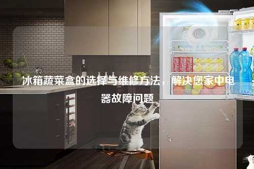  冰箱蔬菜盒的选择与维修方法，解决您家中电器故障问题
