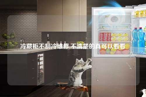 冷藏柜不制冷维修,不清楚的真可以看看